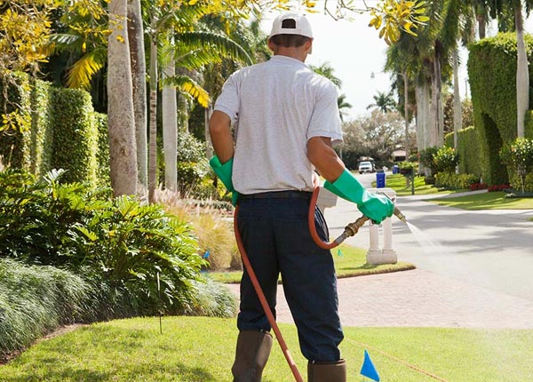 About Hearne TX Pest Control